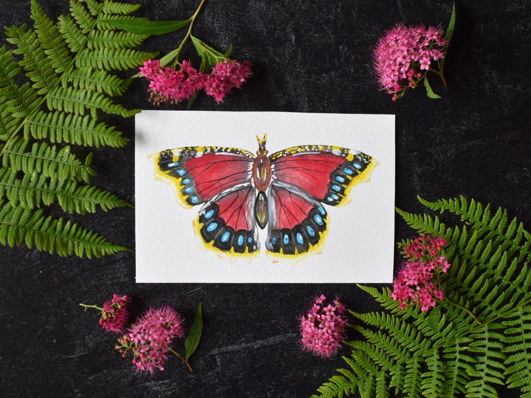 Mourning Cloak Butterfly 4x6 Watercolor Print - Etsy