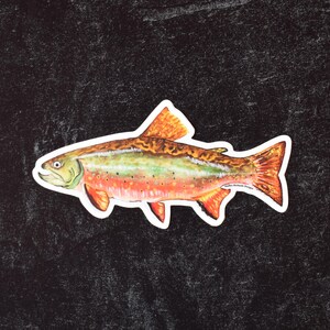 Fishing Fisherman Trout Fish DieCut Vinyl Window Decal Sticker Car