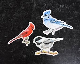 Wild Bird Assorted Watercolor Vinyl Stickers - Blue Jay, Chickadee, and Cardinal