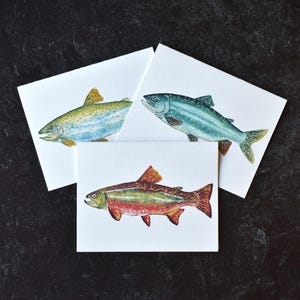 Assortiment de cartes de voeux vierges pour truite - omble de fontaine, truite grise, truite arc-en-ciel