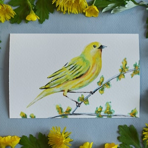 Yellow Warbler Wild Bird 4x6 Watercolor Print