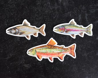 Trout Fish Assorted Watercolor Vinyl Stickers - Brook Trout, Lake Trout, Rainbow Trout