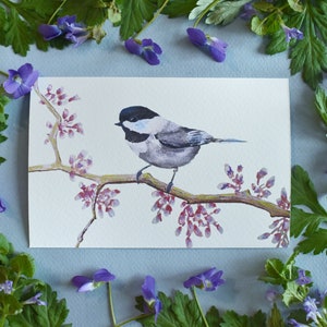 Chickadee Wild Bird 4x6 Watercolor Print