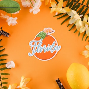 Pegatina naranja de Florida, pegatina cítrica de Florida, pegatina del estado de Florida, pegatina de viaje
