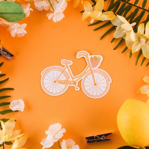 Bonita pegatina de bicicleta naranja, Florida, pegatina de bicicleta, Florida, naranjas