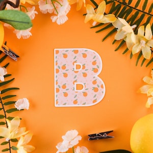Sticker lettre oranges, Sticker alphabet oranges, Sticker lettre, Sticker fruits