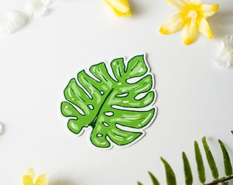 Monsterra Sticker, Leaf, Floral, Tropical Plant