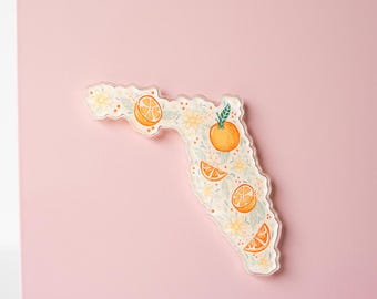 Florida Citrus Magnet: Fridge Magnet Souvenir