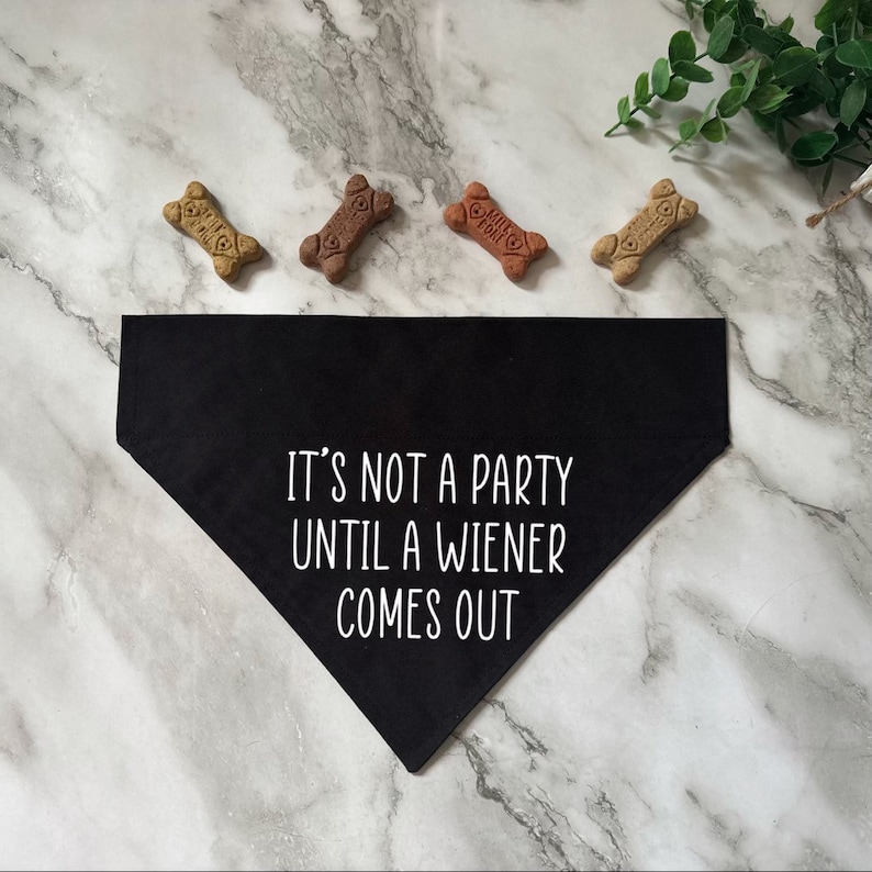 Its Not a Party Until a Wiener Comes Outover the Collar Dog Etsy(02)