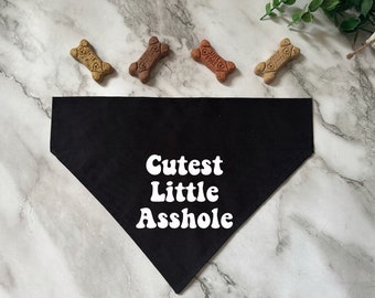 Cutest little asshole-Over The Collar Dog Bandana- Funny Dog Bandana- Cat Bandana