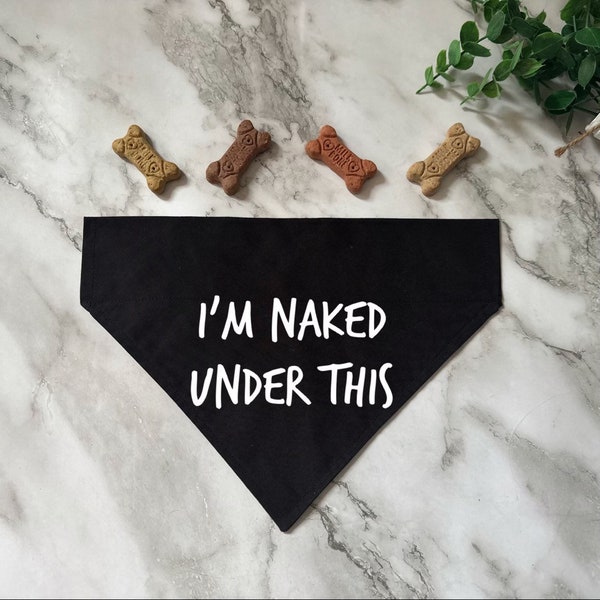 I’m naked under this-Over The Collar Dog Bandana- Funny Dog Bandana- Cat Bandana