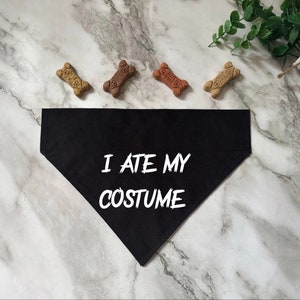 I Ate My Costume Dog Bandana- Halloween- Howl-o-ween- Funny Dog Bandana- Pet Accessory