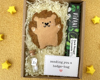 Hedgehug Hug in a Box with Vegan Chocolate | Handsewn Pocket Hedgehog Letterbox Gift | Eco-Friendly Thinking of You Care Package