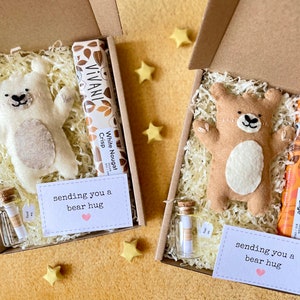 Bear Hug in a Box with Vegan Chocolate | Handsewn Pocket Hug Care Package | Eco-Friendly Thinking of You Letterbox Gift