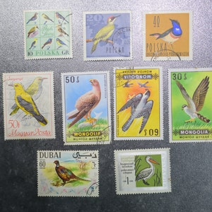 Birds   STAMP  birds and prey birds  CF2 ~~L@@K~~