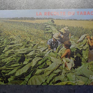 Post Card Tabak ~~L@@K~~