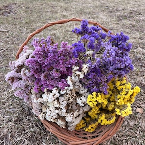 Statice Dried Flower Bunch (White, Yellow, Blue, Pink, Purple), All-natural, Farm Grown