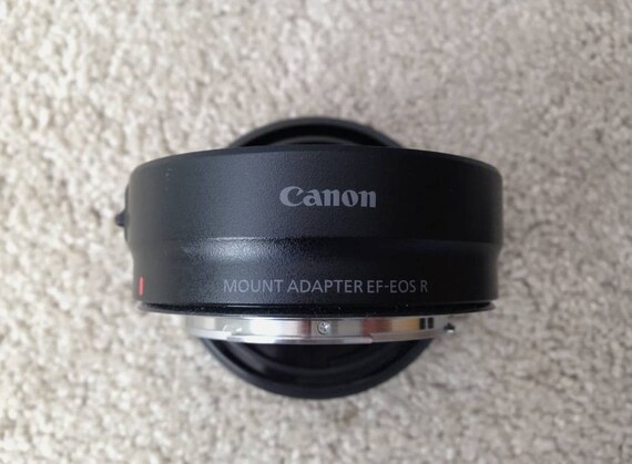 Buy Canon Mount Adapter EF-EOS R Online in India