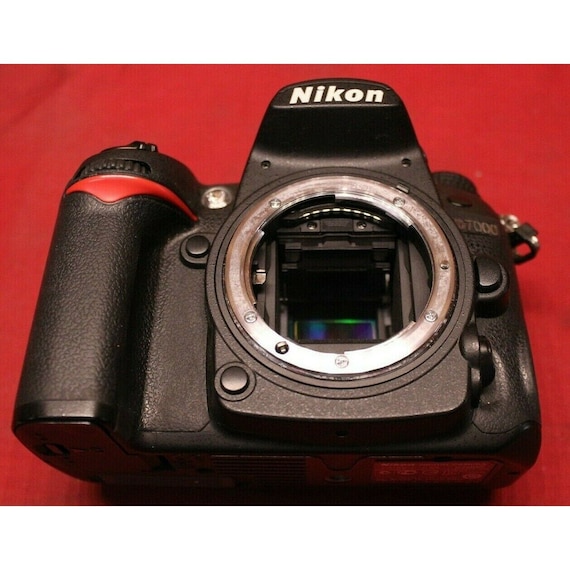Nikon D D7000 16.2 MP Digital SLR Camera - Black - Etsy Hong Kong