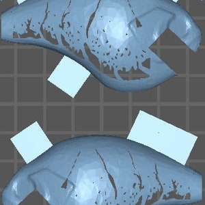 May include: Two blue 3D printed models of a skull with a detailed, textured surface.