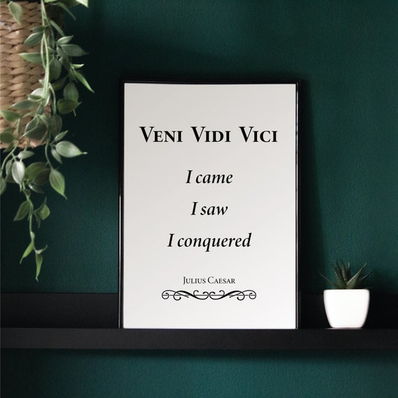 veni vidi vici | Art Print