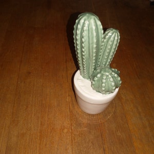 May include: A ceramic cactus plant with three green cactus stems in a white pot. The cactus is on a wooden surface.