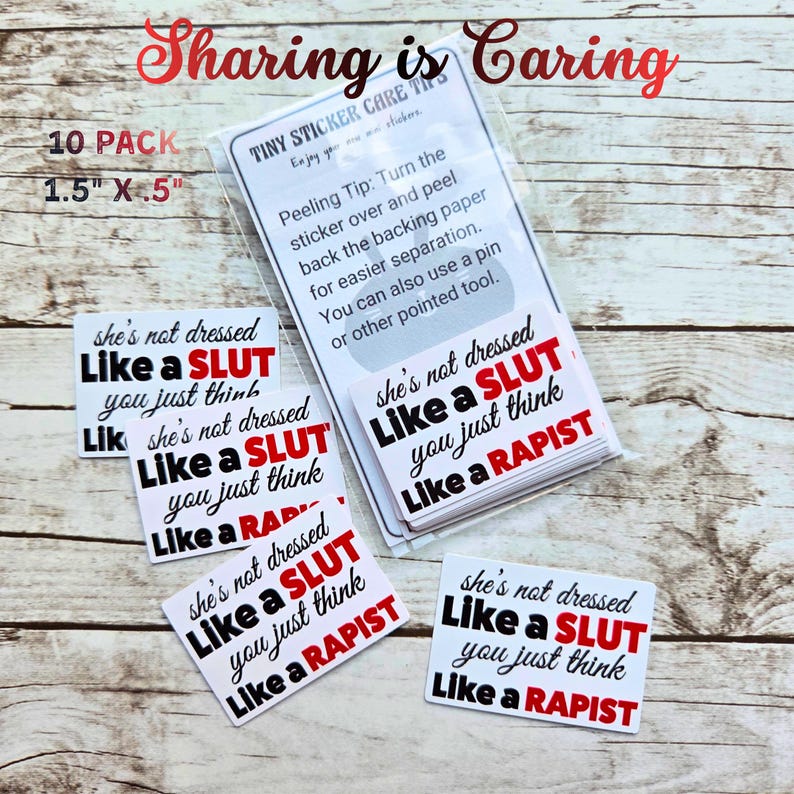 Victim Sticker Survivor Justice Sticker Pack | 10 Feminist Mini Stickers | Anti Victim ...