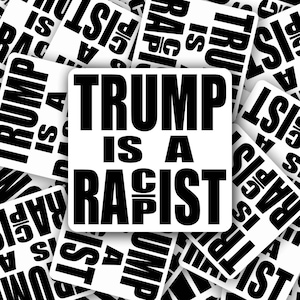 Anti-Trump Vinyl Sticker: Political Activism Decal