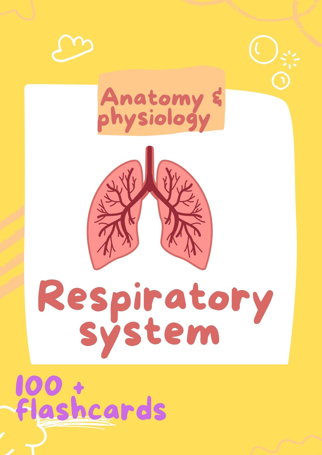 Anatomy and Physiology Respiratory System Flashcards - Etsy