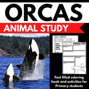 May include: A printable black and white worksheet for kids to learn about orcas. The worksheet has a title "All About Orcas" and includes questions about orcas, such as "Where in the world are orcas found?" and "What biomes do orcas live in?" The worksheet also includes a black and white illustration of an orca.