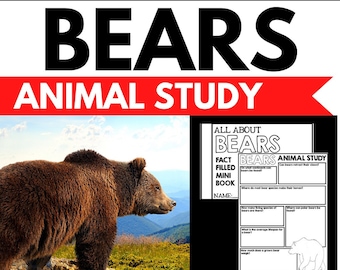 Bear Animal Study – Printable Reading Comprehension, Biomes Project (PDF)