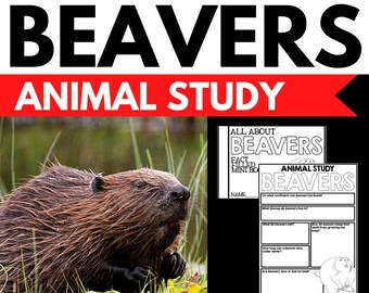 Beaver Research Project – Animal Study, Homeschool Printable