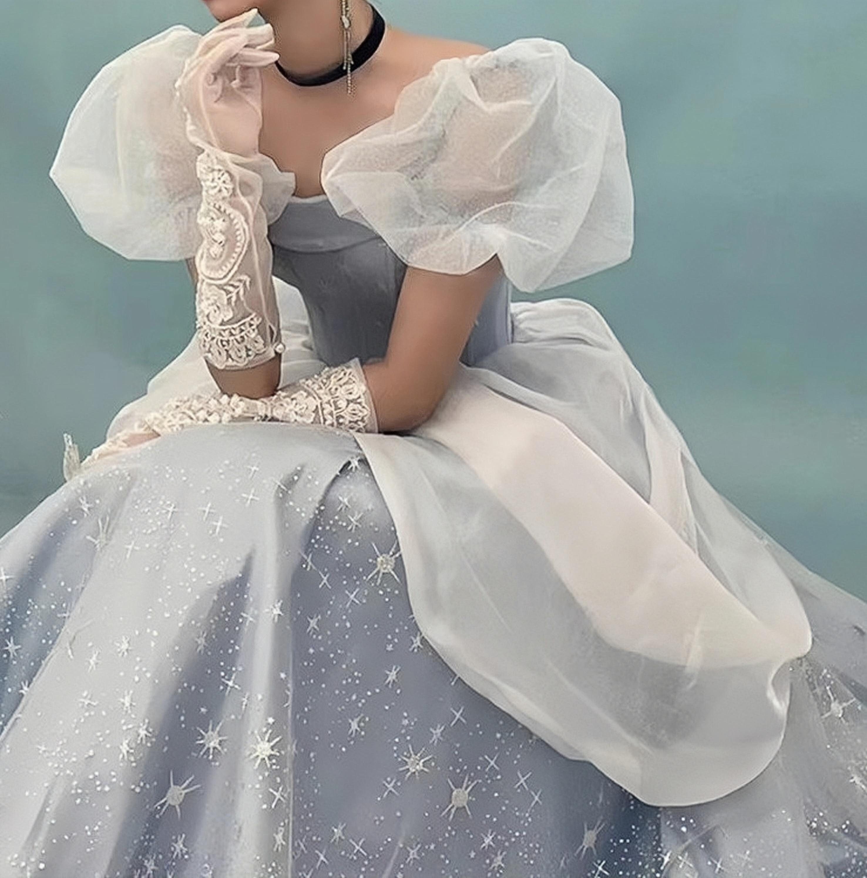 Cinderella inspired prom dress hot sale