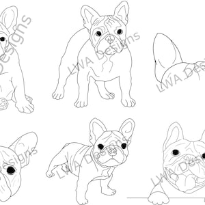 Conjunto de desenho de linha Bulldog Francês - SVG / PDF / PNG - Original, desenhado à mão