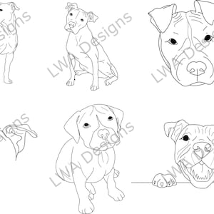 Dibujos lineales de Pitbull - SVG / PDF / PNG - Original, dibujado a mano