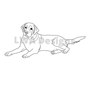 Labrador Line Drawing - SVG / PDF / PNG - Original, Hand-drawn - Etsy