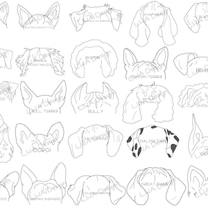 50 Dog Breed Ears SVG / PNG / PDF - Original, Hand-drawn
