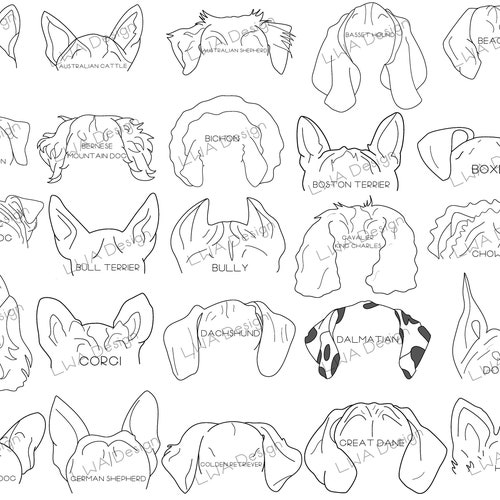 50 Dog Breed Ears SVG / PNG / PDF Original Hand-drawn - Etsy