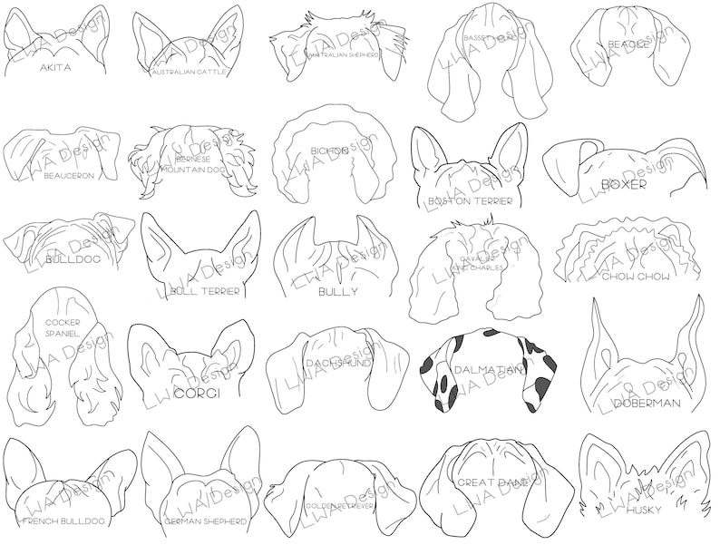 50 Dog Breed Ears SVG / PNG / PDF Original Handdrawn Etsy
