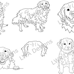 Dibujos lineales de Golden Retriever - SVG / PDF / PNG - Original, dibujado a mano
