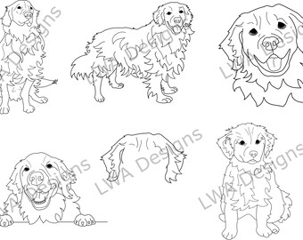 Golden Retriever lijntekeningen - SVG / PDF / PNG - origineel, met de hand getekend