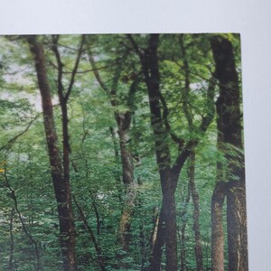 Toyota Celica Print Ad 90s Automotive Magazine Y2K Red Riding Hood Advertising image 3