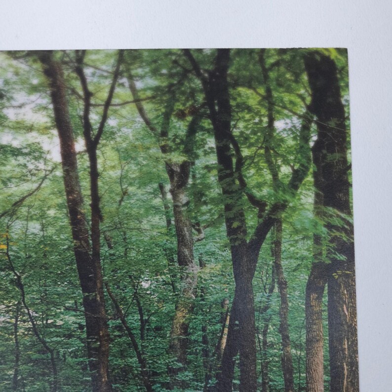 Toyota Celica Print Ad 90s Automotive Magazine Y2K Red Riding Hood Advertising image 3