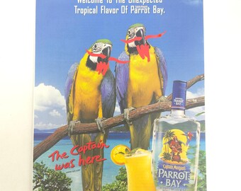 Captain Morgan Parrot Bay Print Ad Tropical Parrots Rum Home Bar Wall Decor Y2K