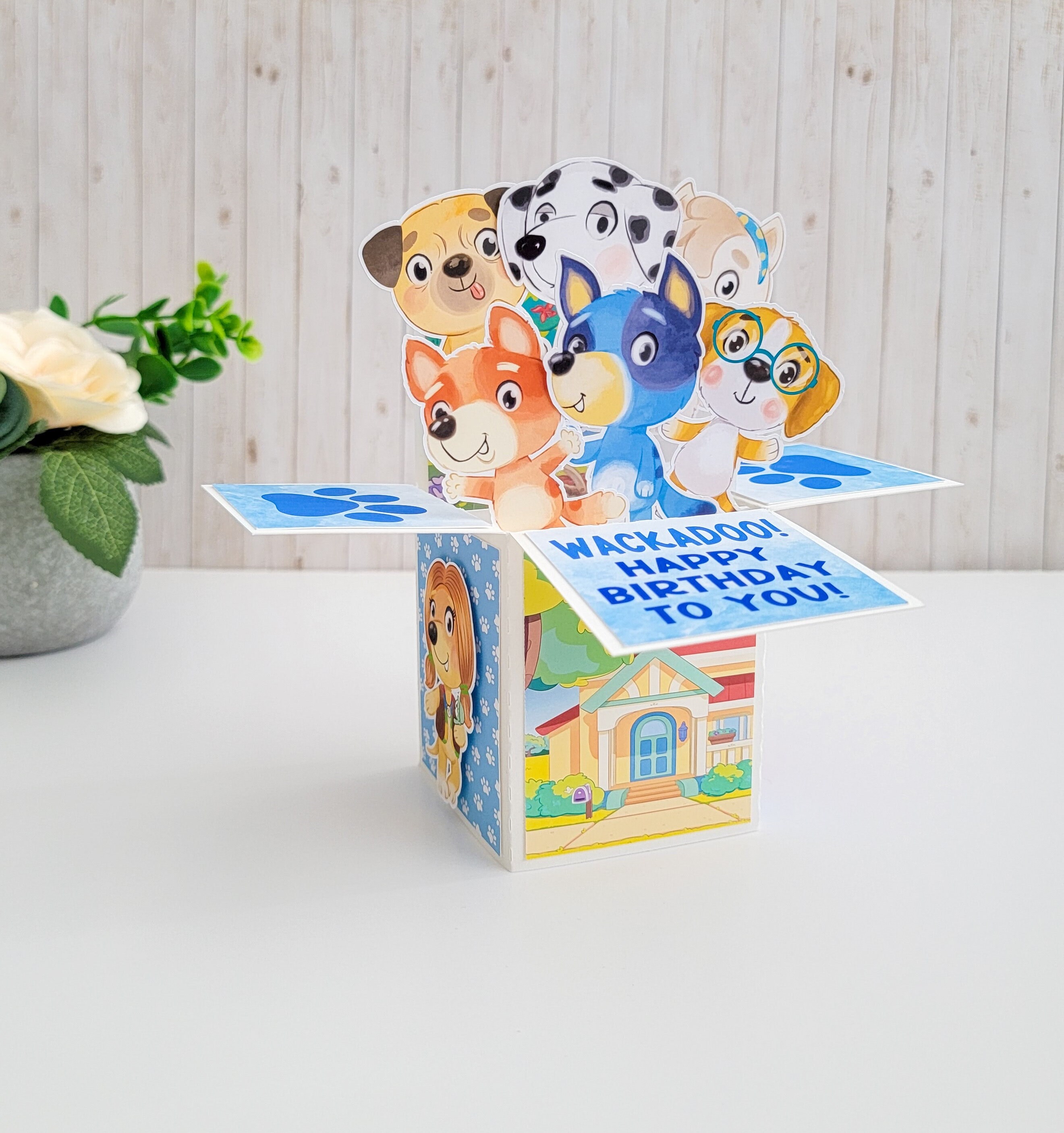Pop-Up Box 'Wackadoo'