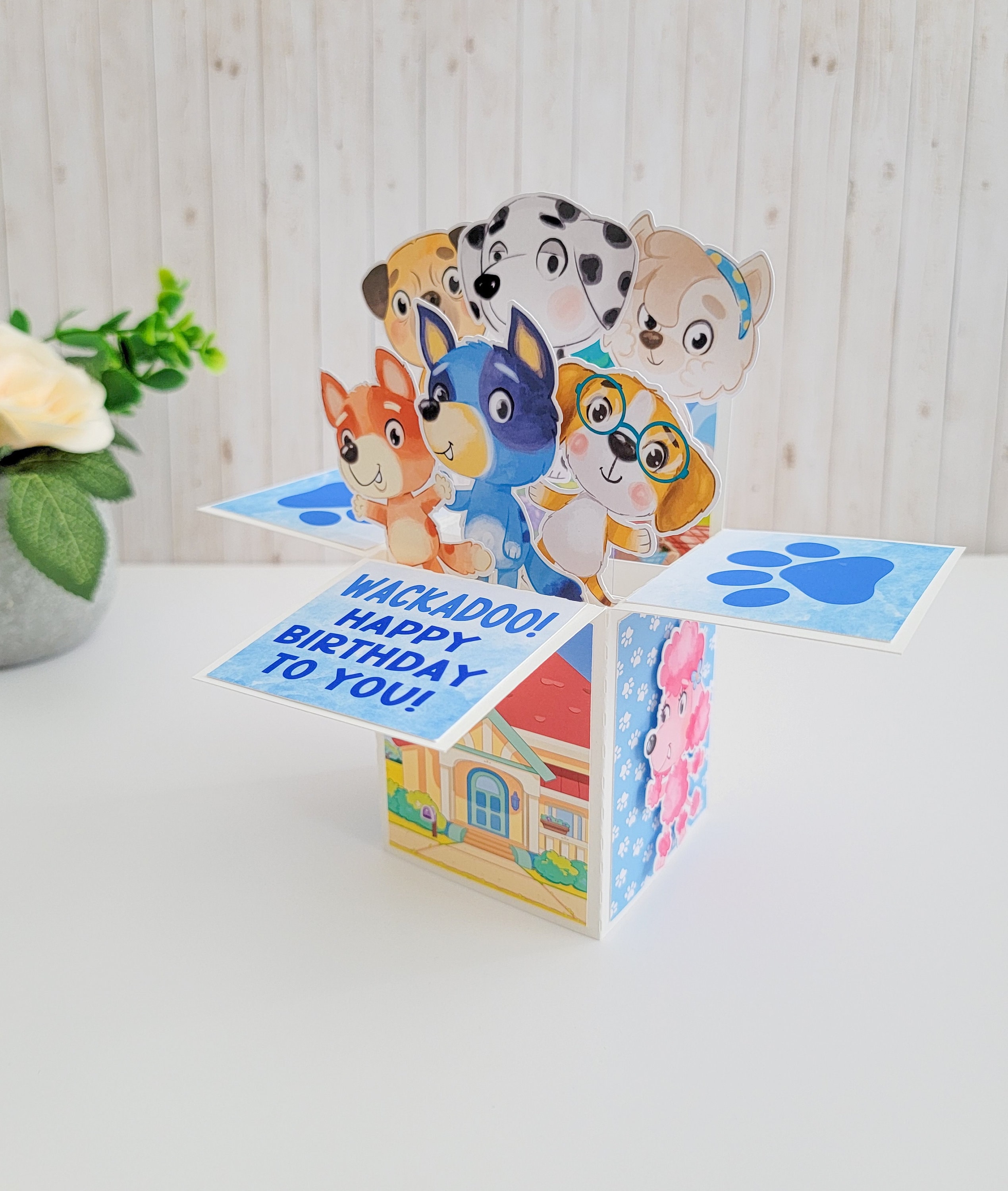 Pop-Up Box 'Wackadoo'