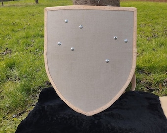 shield shield from the 14th century