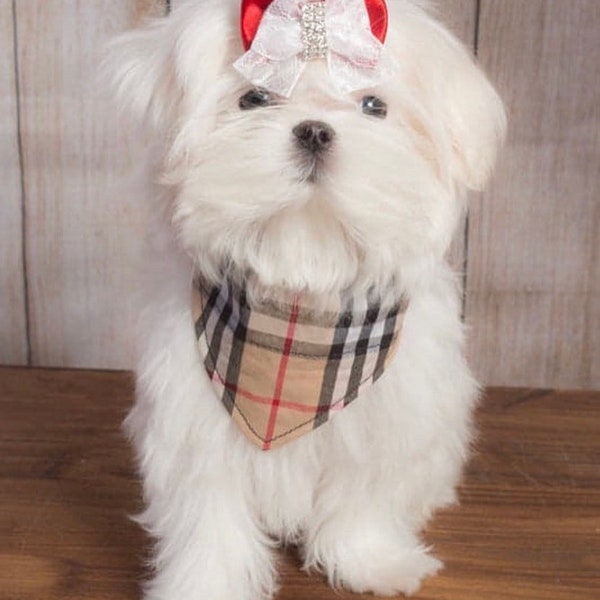 Bandana tartan beige/ noir/ rouge/ rose/ vert/ bleu