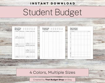 Budget for College Students, College Budget Tracker, Student Expense Tracker PDF, Semester Financial Overview, Budget Worksheets