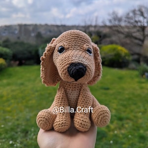 Può includere: Un giocattolo per cani in crochet marrone e bianco con occhi neri e naso nero. Il giocattolo è seduto su una mano con uno sfondo di erba verde e un cielo blu con nuvole bianche.